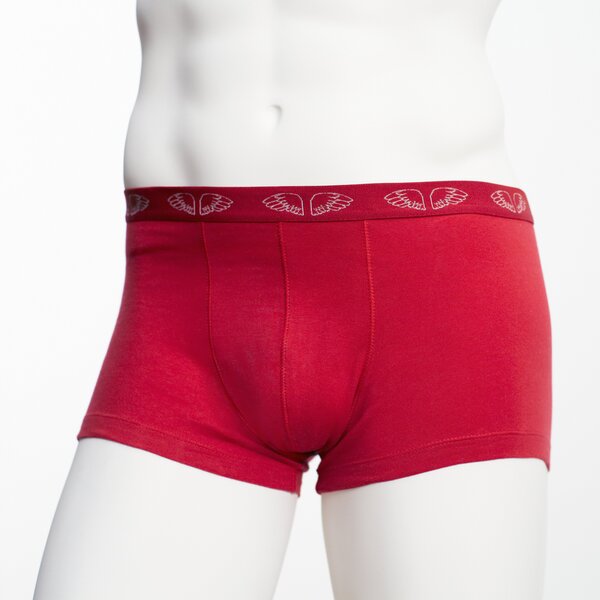 Herren Pants Crimson Red - Pants to poverty