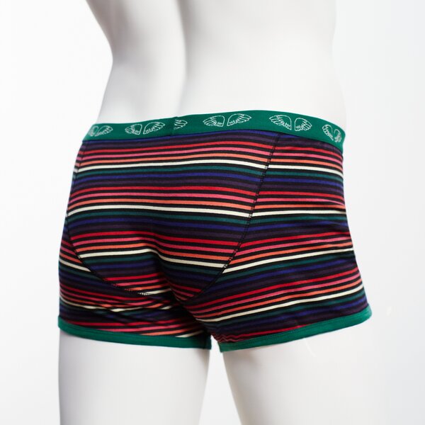 Herren Pants Winterstripe - Pants to poverty