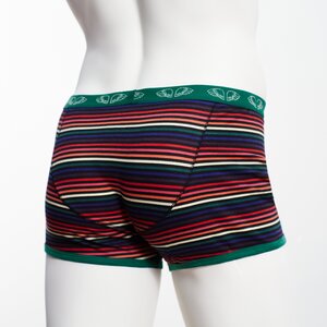 Herren Pants Winterstripe - Pants to poverty