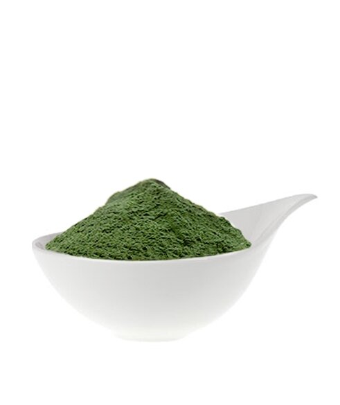 Alfalfa Pulver, 150g, Bio. - Taste Nature