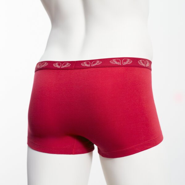 Herren Pants Crimson Red - Pants to poverty