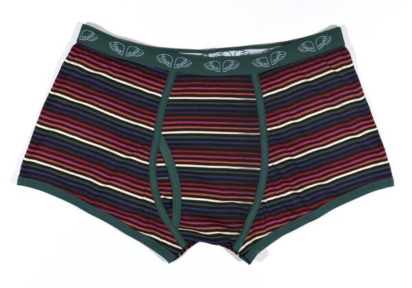 Herren Pants Winterstripe - Pants to poverty