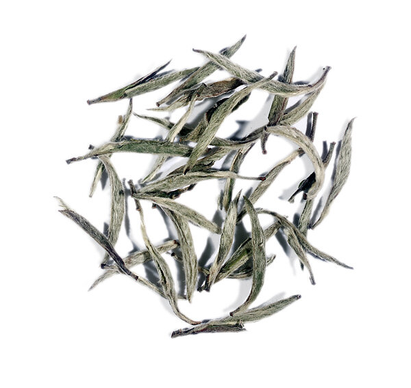 China White Yin Zhen Silver Needle - Pure Tea