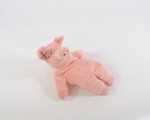 Schwein mit Kirschkernkissen - Senger Tierpuppen