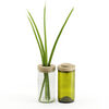 'Vase & Dose' - Side by Side