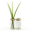 'Vase & Dose' - Side by Side