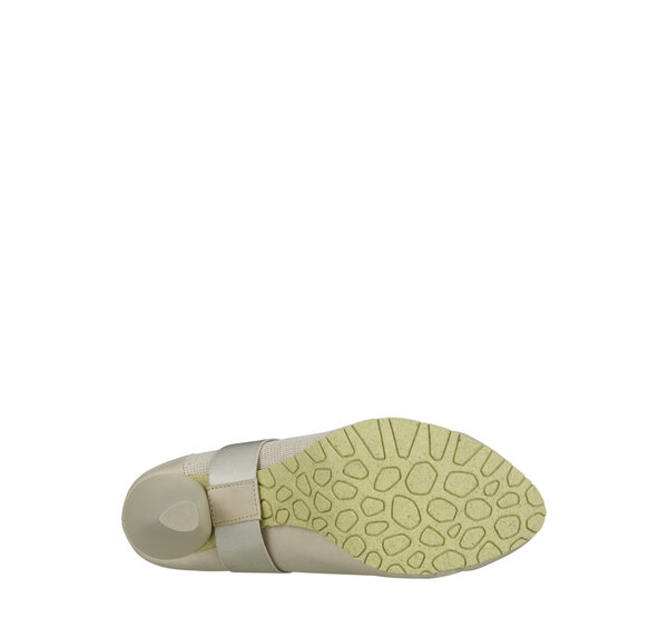 Juniper Canvas - Terra Plana