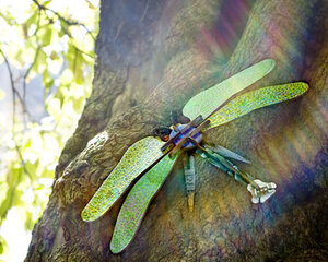 Totem Dragonfly - Kidsonroof