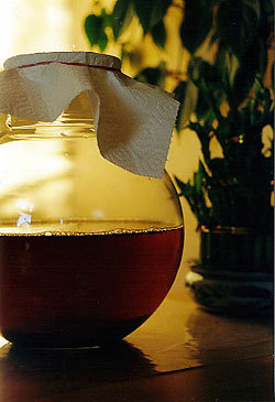 Bio Kombucha Drink XXL - Wellness-Drinks