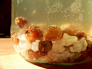 Bio Wasserkefir Drink - Wellness-Drinks