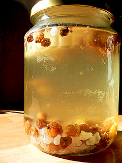 Bio Wasserkefir Drink XXL - Wellness-Drinks