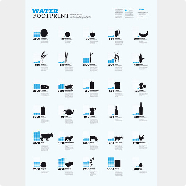 Virtual Water Poster (DinA0) - Agentur Raureif