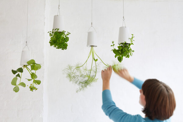 Sky Planter XS - Boskke