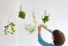 Sky Planter XS - Boskke