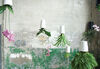Sky Planter S - Boskke