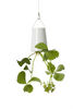 Sky Planter S - Boskke
