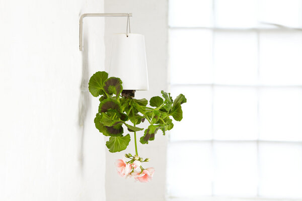 Sky Planter S - Boskke