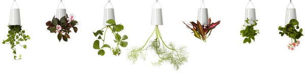 Sky Planter S - Boskke