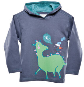 Shirt 'Drachenritt' - Kissa