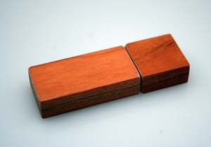 USB Stick aus Holz - Vireo