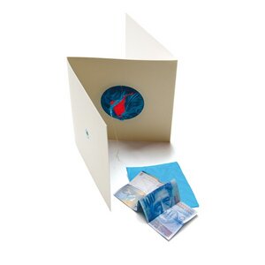 Geschenkverpackung PRÄSENTCHEN - tät-tat