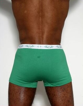 Herren Pants Wings - Pants to poverty