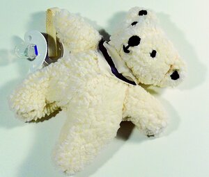 Baby-Bär mit Rapssamen - purnatour