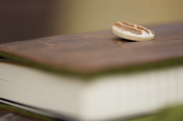Moleskine Leder/Filz-Einband - filz:stueck