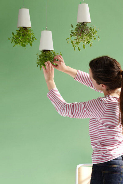 Sky Planter Recycled Medium - Boskke