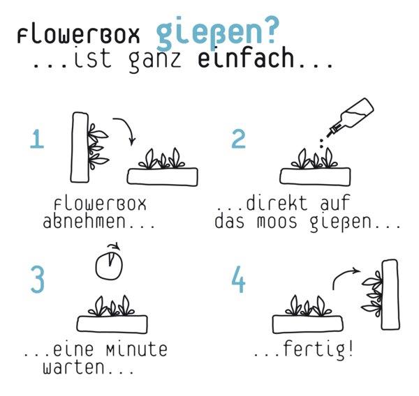 FlowerBox Ceramic 1 in Weiß mit Grünlilie - FlowerBox