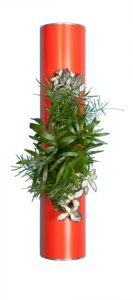 Minigarten mit echten Blumen - an der Wand! - FlowerBox