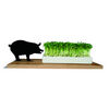Kresseschale Schwein - Side by Side