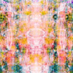 Abstract Blossom Schal - Front Row Society