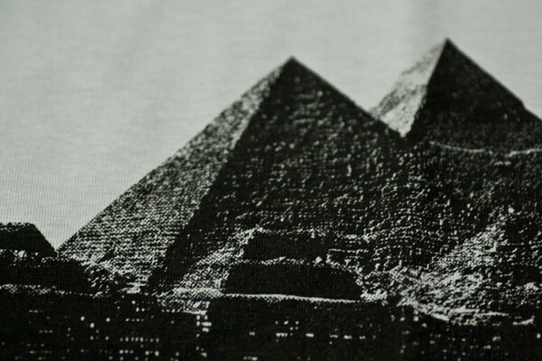 T-Shirt Fake Empire - Plain And Black