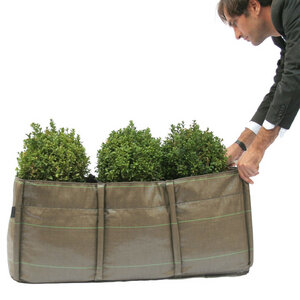 BACLONG - Blumenbeet - BACSAC
