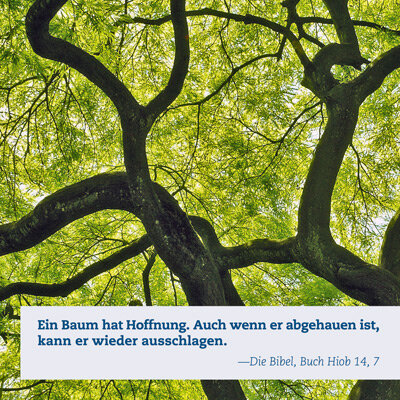 Impulskarten Hoffnung - Down to Earth