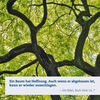 Impulskarten Hoffnung - Down to Earth