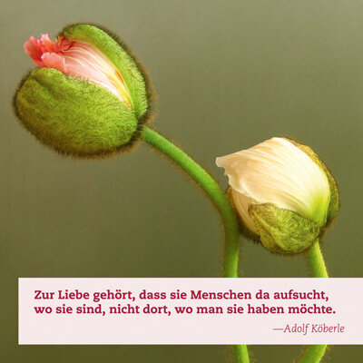 Impulskarten Liebe - Down to Earth