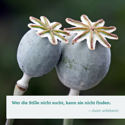 Impulskarten Stille - Down to Earth