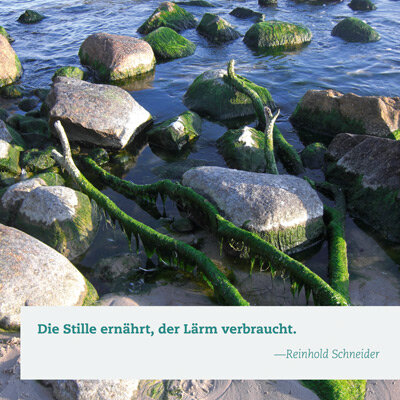Impulskarten Stille - Down to Earth