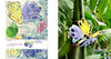 Pop-Out-Karte Schmetterling card A4 - Kidsonroof
