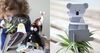 Buch der Tiere: Adler - Kidsonroof