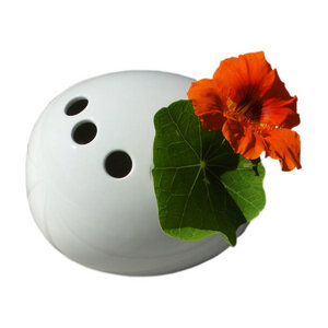 Vase steck! halbkreis - Katy Jung