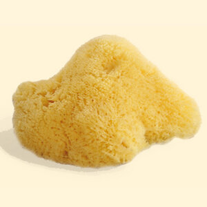 feiner Naturschwamm - Babynatur