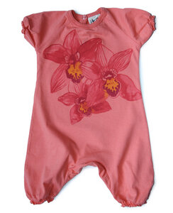 Body Orchid - Itsus