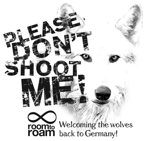 DANIELLE - room to roam