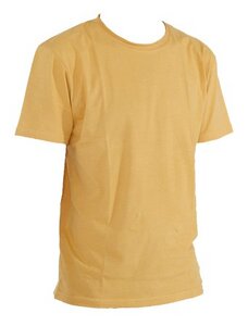 T-Shirt men, curry - ETHOS
