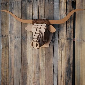 Longhorn 'Tex' - Cardboard Safari