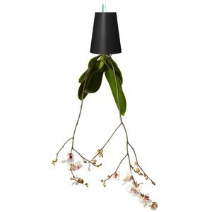 Sky Planter Recycled small/mattschwarz - Boskke