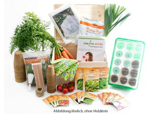 Gemüsegarten-Box - meine ernte